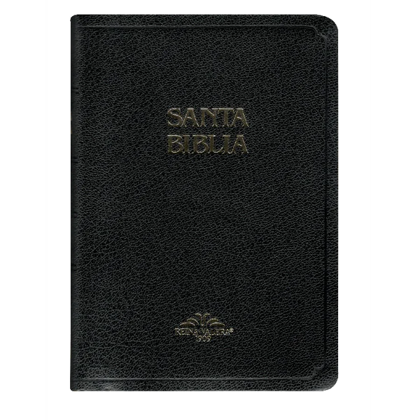 SANTA BIBLIACON SIERRE