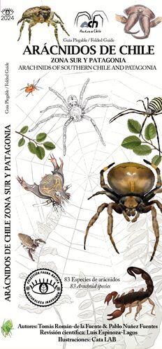 Guía plegable Arácnidos de Chile zona sur y Patagonia