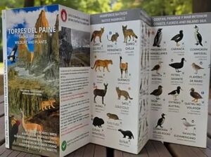 Torres del paine - Guia plegable