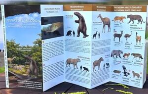 Cuevas del milodon megafauna, fauna y humanos - Guia plegable