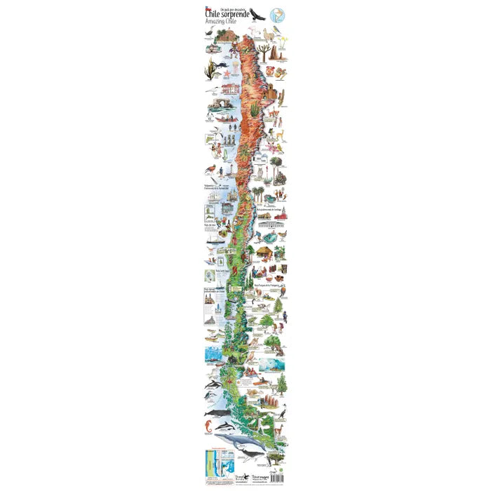 Mapa Chile Sorprende