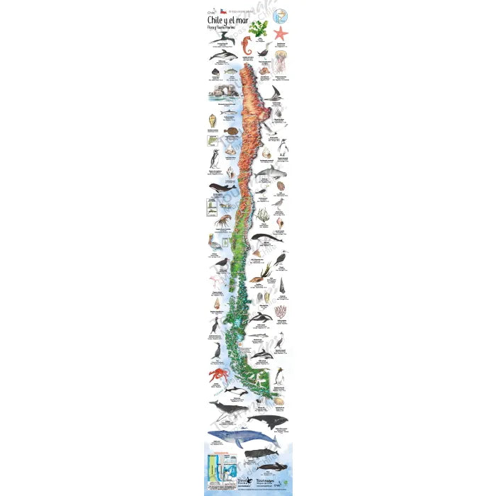 Mapa Chile Y El Mar