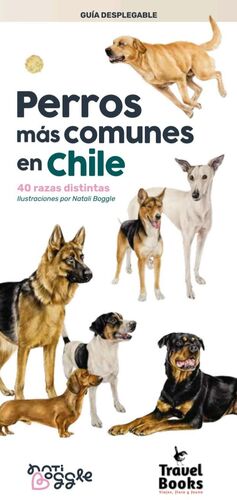 Perros mas comunes en chile - Guia plegable