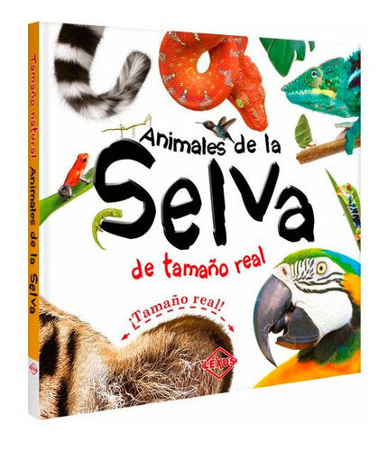 Animales de la selva de tamaño real