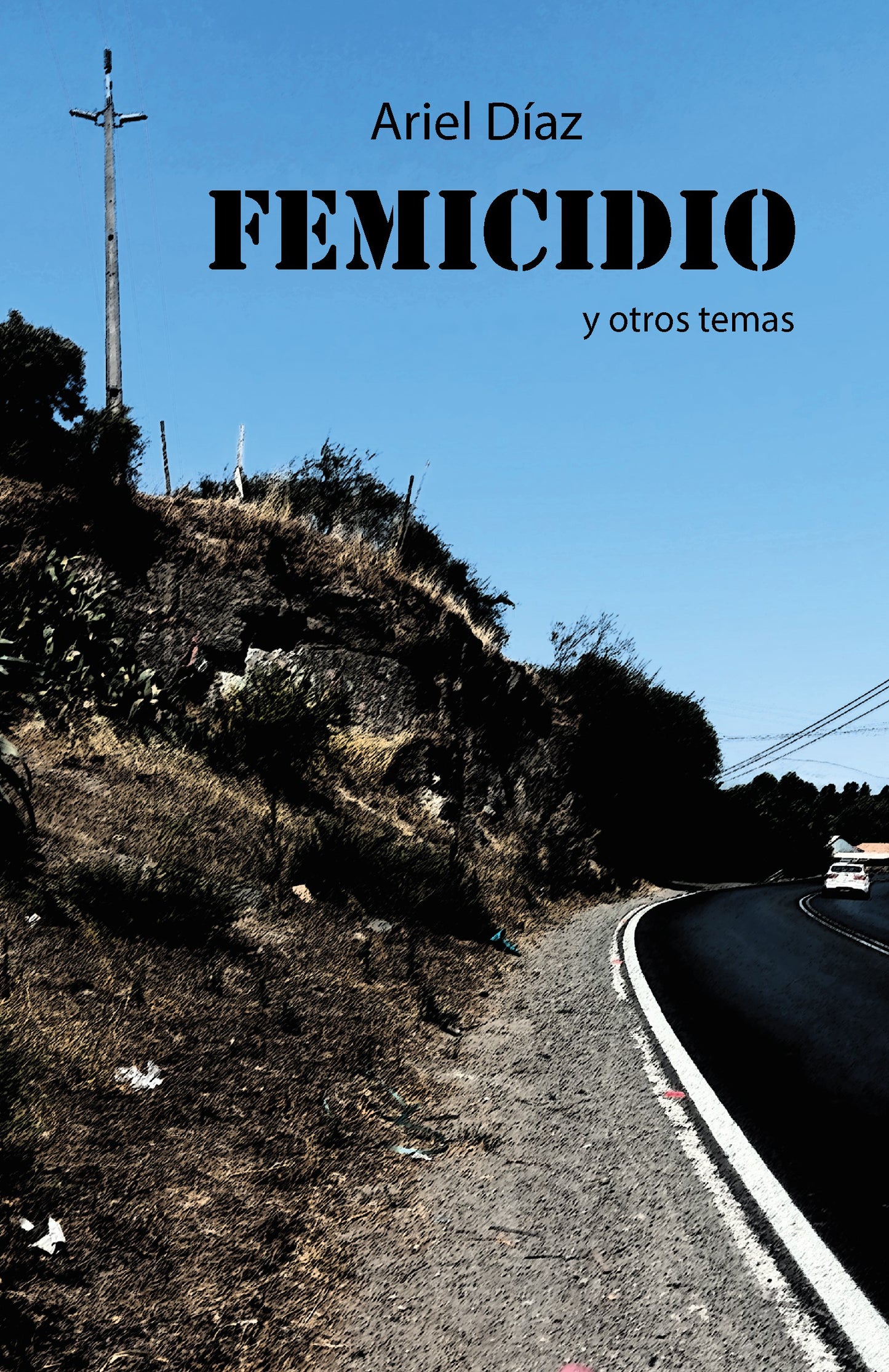 Femicidio y otros cuentos - Ariel Díaz