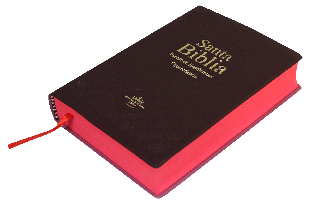 SANTA BIBLIA RVR CON INDICE