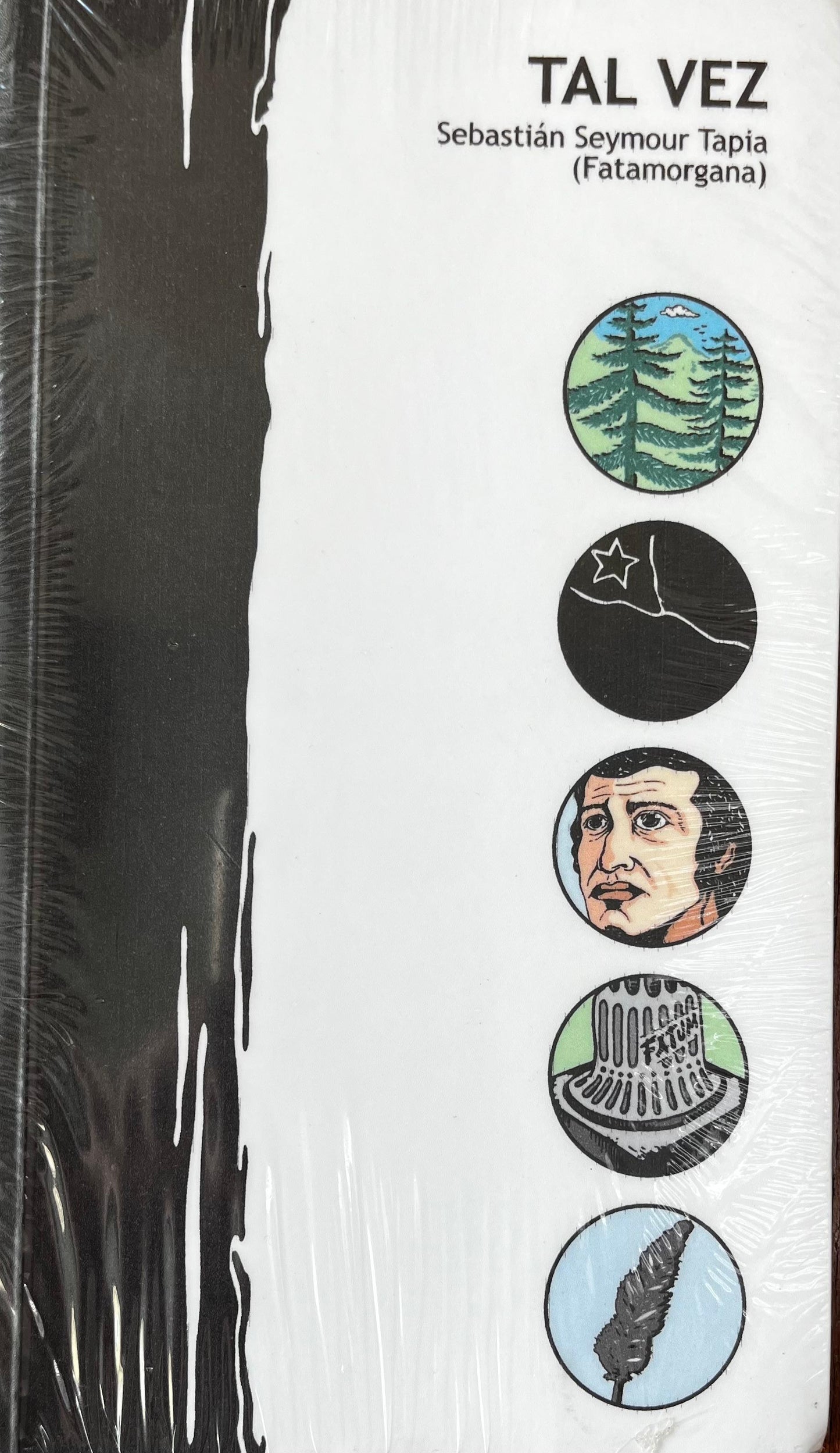 Tal vez - Sebastián Seymour Tapia