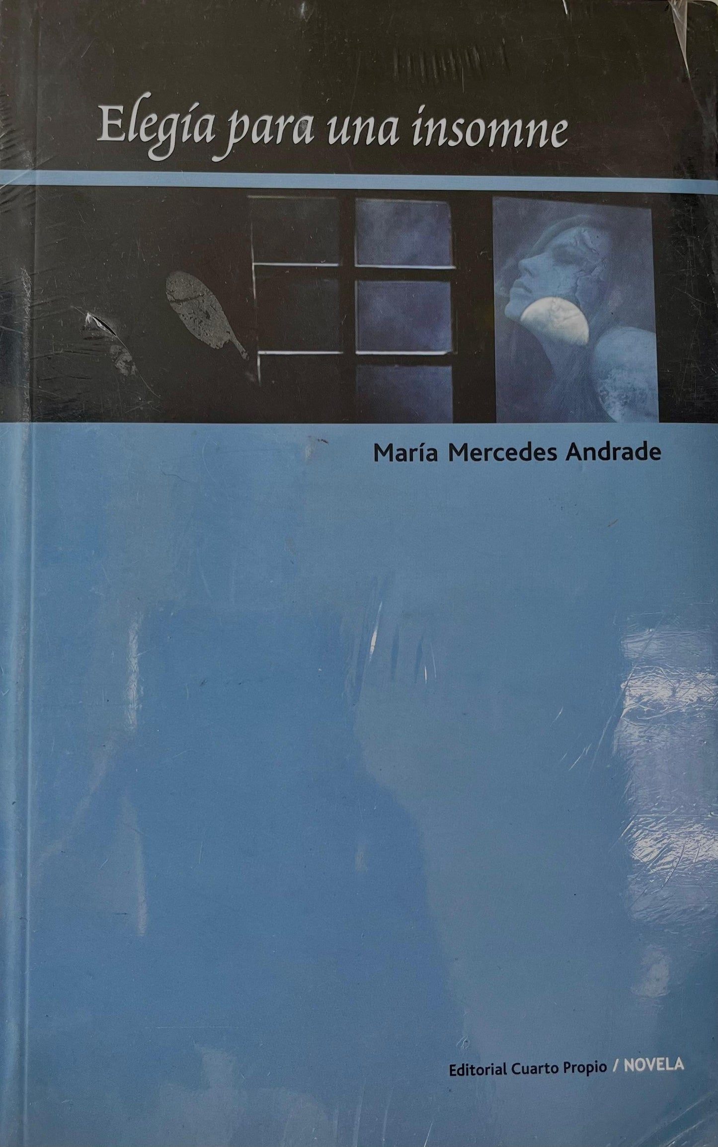 Elegía para una insomne - María Mercedes Andrade