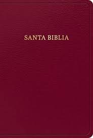 Biblia letra grande tamaño manual RVR 1960