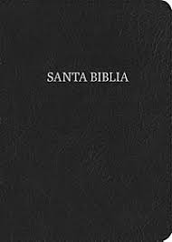 Biblia letra gigante RVR1960