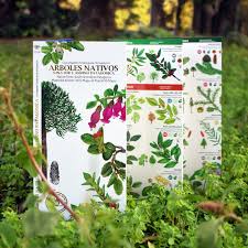 Guía plegable Árboles nativos zona sur y andino patagónica