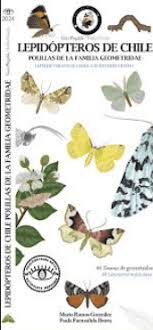 Guía plegable Lepidópteros de Chile; polillas de la familia geometridae