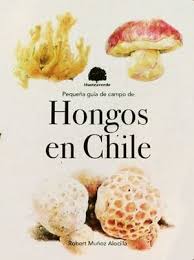 Pequeña guía de campo de Hongos en Chile