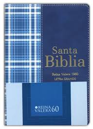 Santa biblia RVR 1960 letra grande