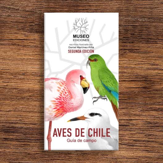 Aves de Chile - Daniel Martínez Piña