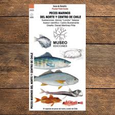 Peces marinos del norte y centro de Chile guia desplegable