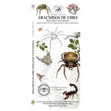 Arácnidos de Chile guia desplegable