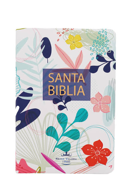 Santa biblia RVR 1960