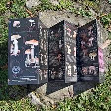 Guía plegable Funga tóxica y psicoactiva