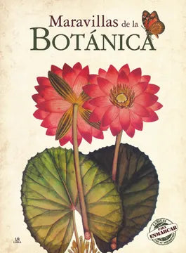 Maravillas de la botánica