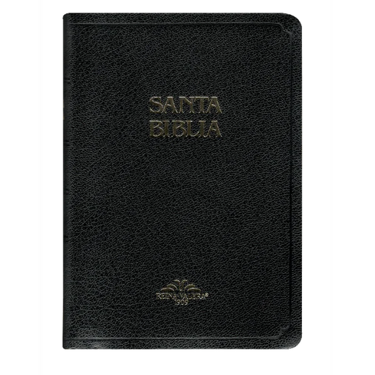 SANTA BIBLIA CON SIERRE