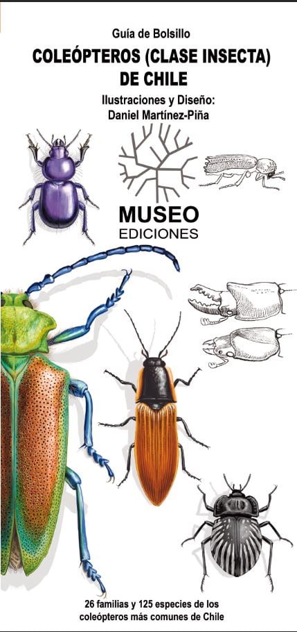 Guía de bolsillo Coleópterios (clase insecta) de Chile
