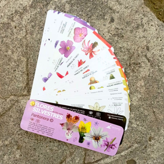 Flores silvestres Pantonera