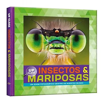 Insectos y mariposas up close