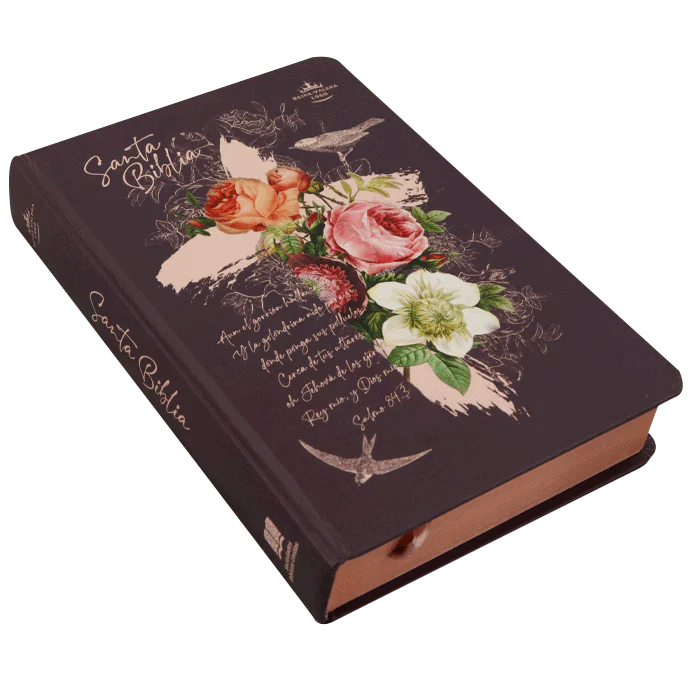 SANTA BIBLIA REINA VALERA