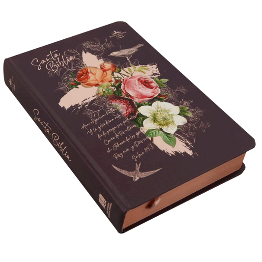 SANTA BIBLIA REINA VALERA