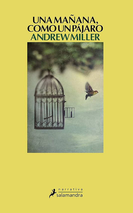 Una mañana como un pájaro - Andrew Miller
