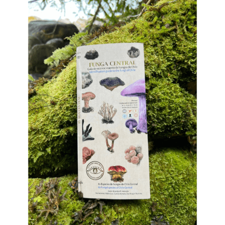 Funga del sur Guia desplegable