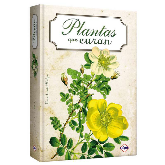 Plantas que curan - Luis Tomas Melgar