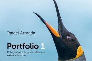 PORTFOLIO 1. FOTOGRAFÍAS E HISTORIAS DE AVES EXTRAORDINARIAS