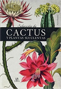 Selección de cactus y plantas suculentas