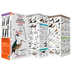 Aves marinas y playeras de Chile