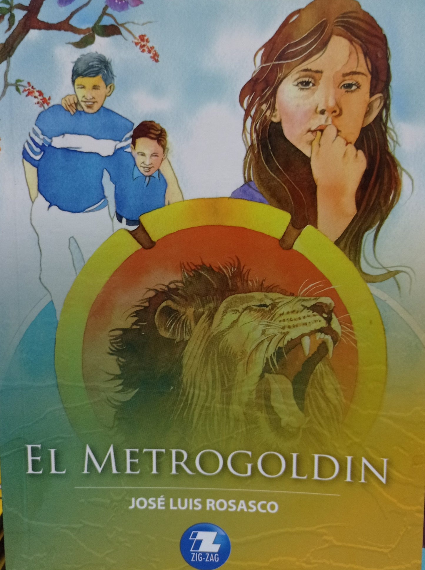 El Metrogoldin - José Luis Rosasco