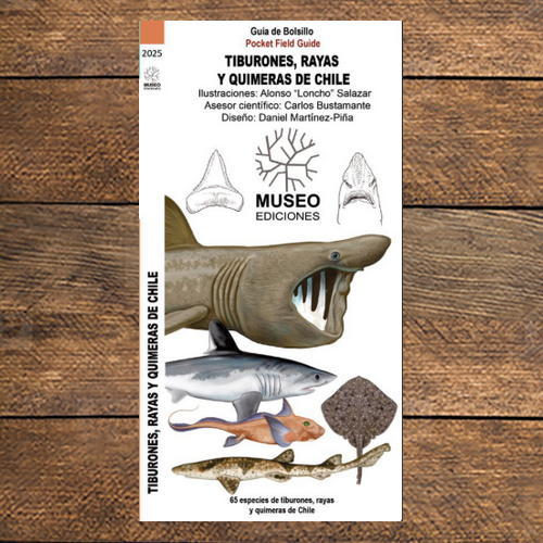 Tiburones, rayas y quimeras de Chile guia desplegable