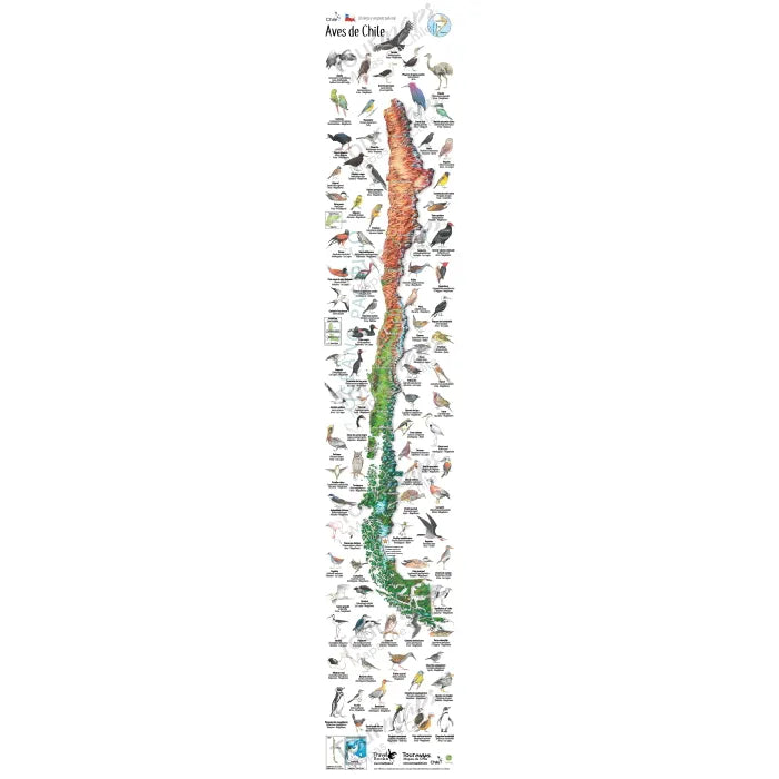 Mapa Aves De Chile