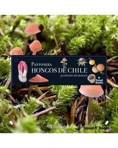 Pantonera hongos de chile