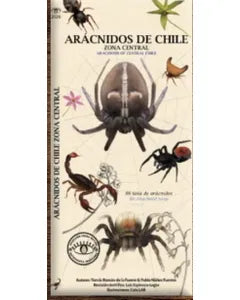 Arácnidos de chile zona central - Guia desplegable