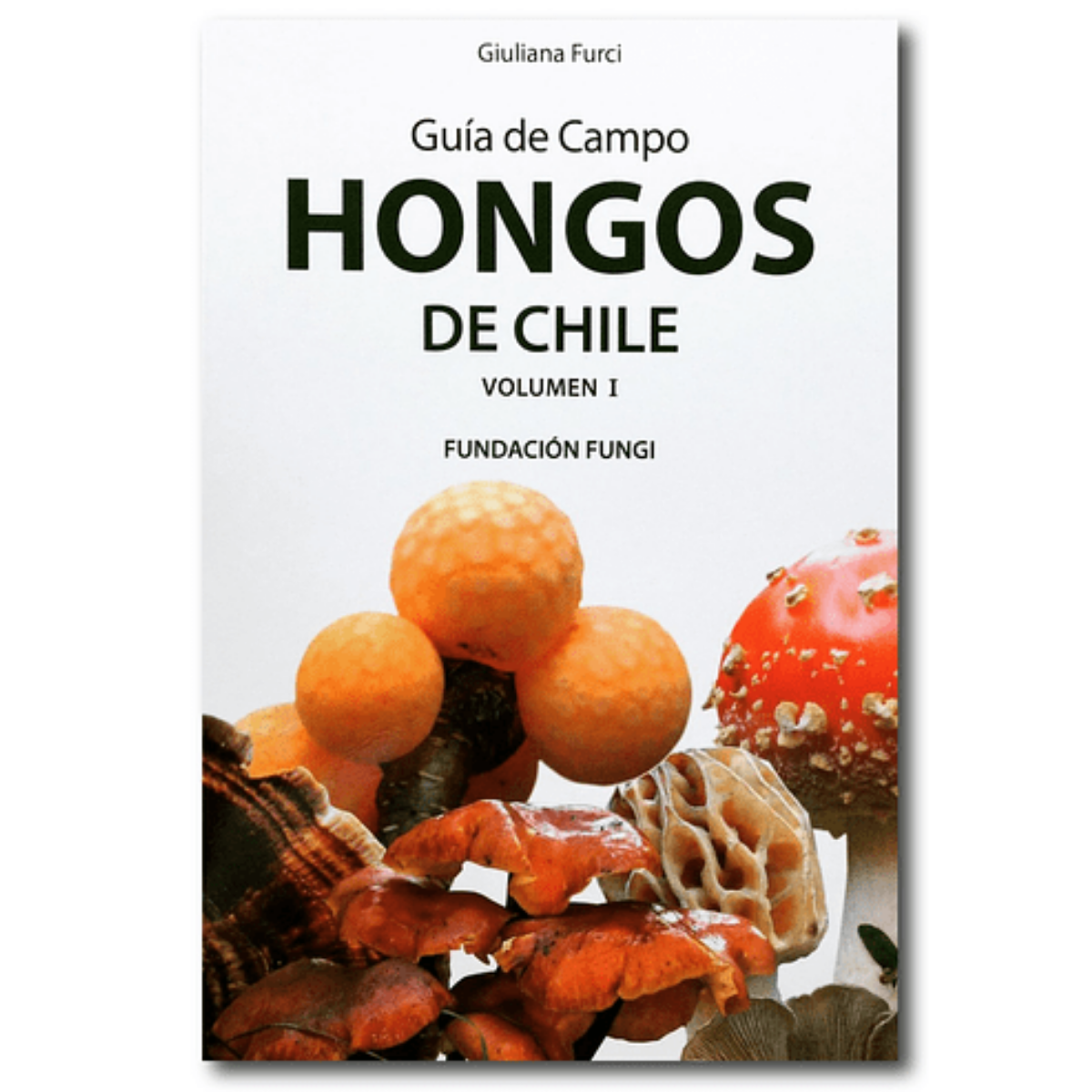 Hongos de Chile Vol.I - Giuliana Furci