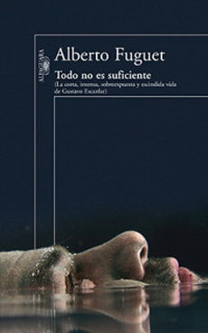 Todo no es suficiente - Alberto Fuguet