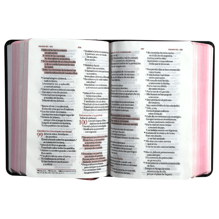 Biblia Reina Valera 1960 TAPA DURA FLORES