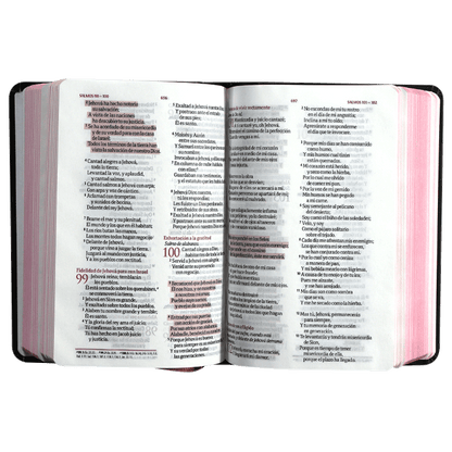 Biblia Reina Valera 1960 TAPA DURA FLORES