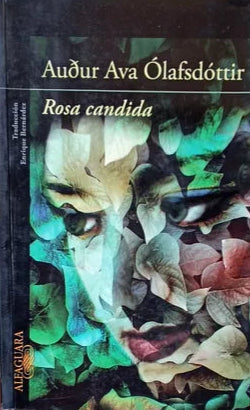 Rosa candida - Audur Ava Olafsdorttir