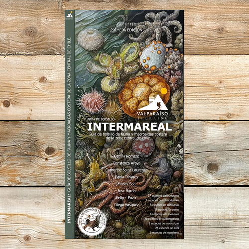 Intermareal guia desplegable