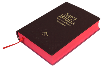 SANTA BIBLIA RVR CON INDICE