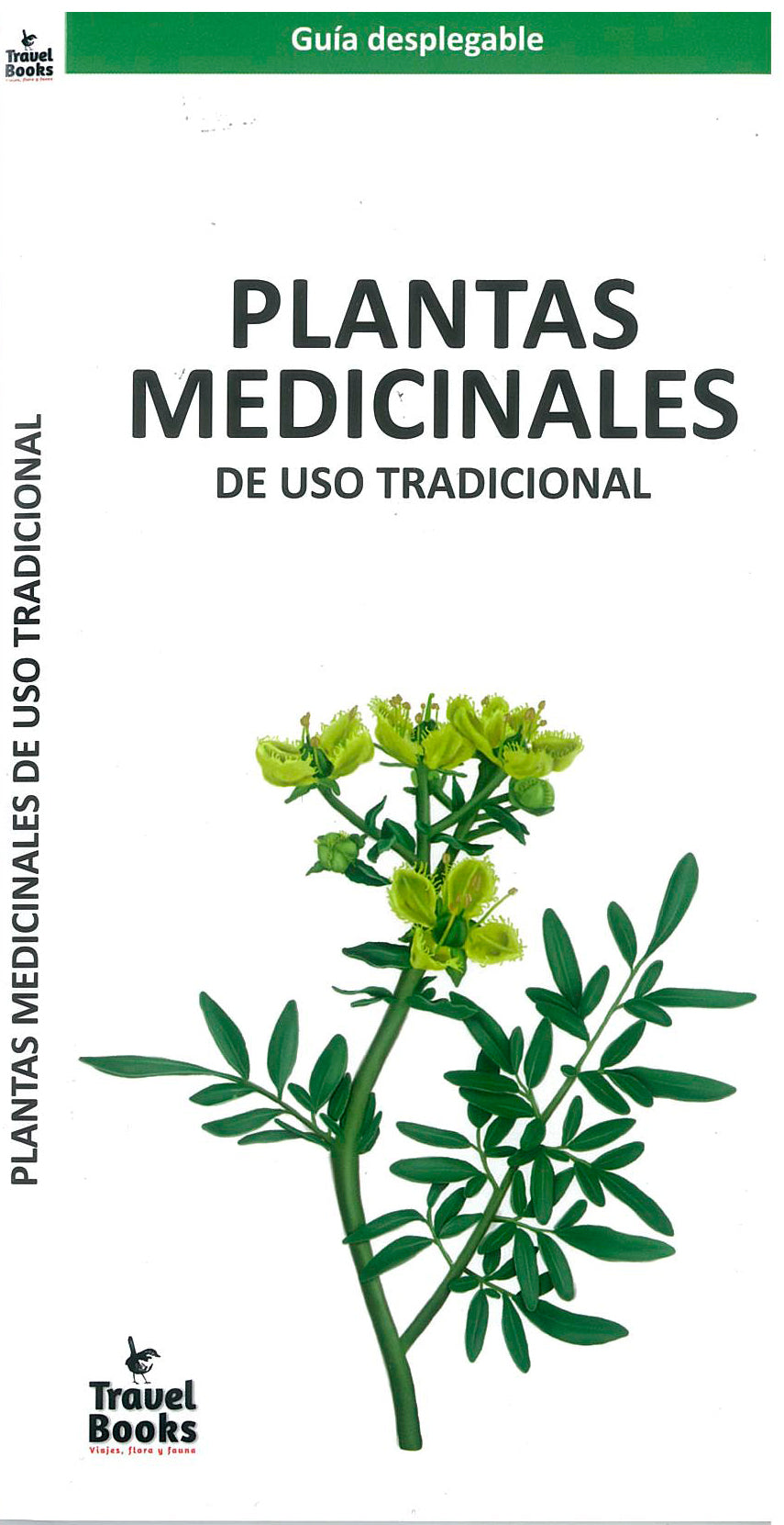 Plantas medicinales de uso tradicional guia desplegable