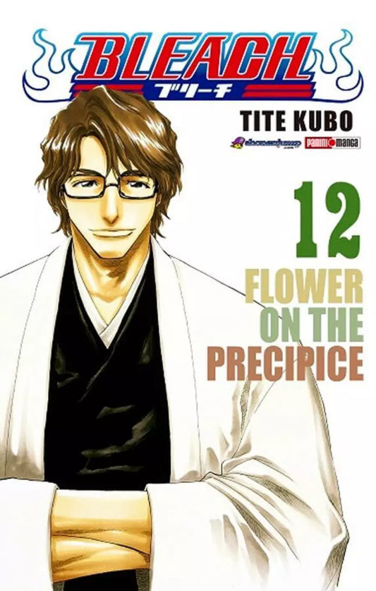 Bleach Tomo 12 - Tite Kubo